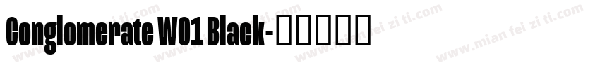 Conglomerate W01 Black字体转换